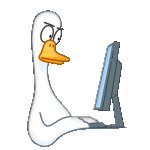 duckdapp