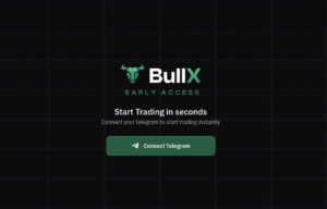 bullx_io